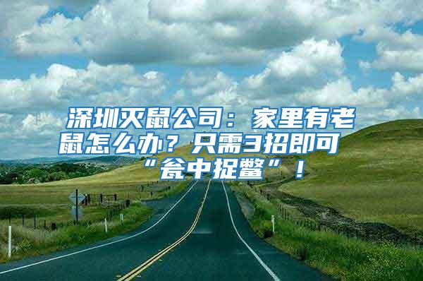 深圳滅鼠公司：家里有老鼠怎么辦？只需3招即可“甕中捉鱉”！