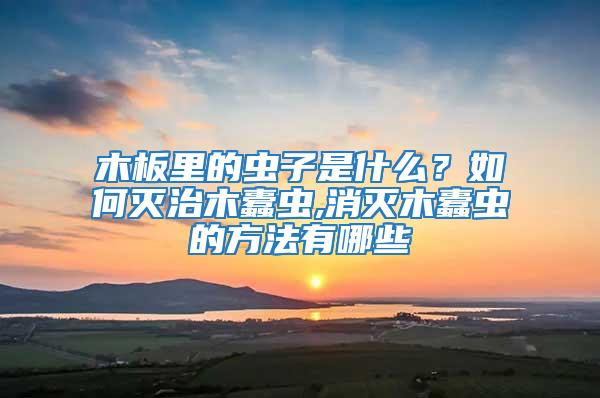 木板里的蟲子是什么?如何滅治木蠹蟲,消滅木蠹蟲的方法有哪些