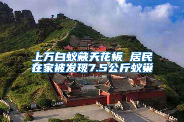 上萬白蟻藏天花板 居民在家被發(fā)現(xiàn)7.5公斤蟻巢