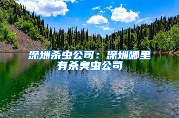 深圳殺蟲公司：深圳哪里有殺臭蟲公司