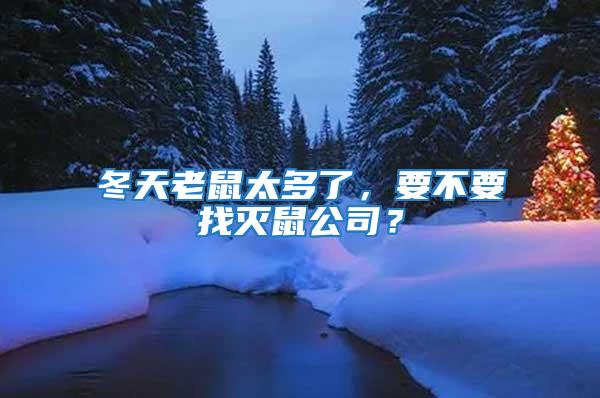 冬天老鼠太多了，要不要找滅鼠公司？