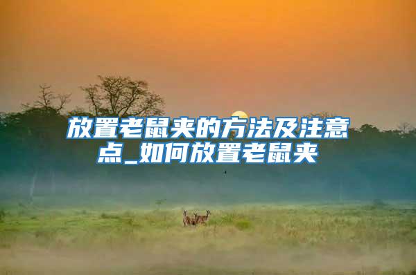 放置老鼠夾的方法及注意點_如何放置老鼠夾