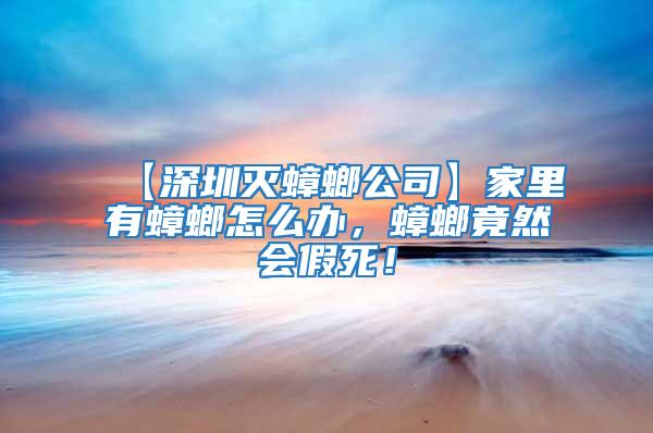 【深圳滅蟑螂公司】家里有蟑螂怎么辦,蟑螂竟然會(huì)假死!