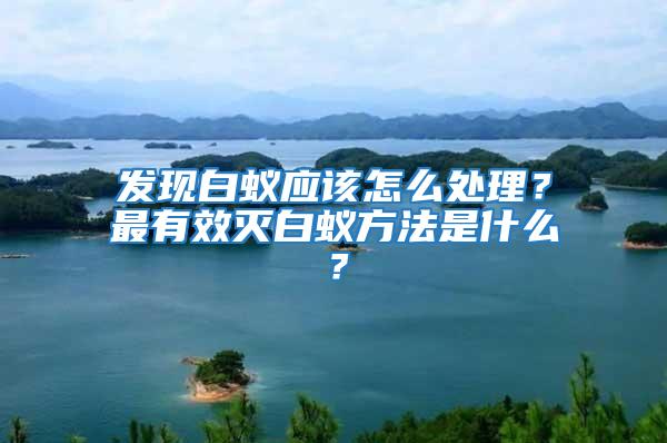 發現白蟻應該怎么處理?最有效滅白蟻方法是什么?