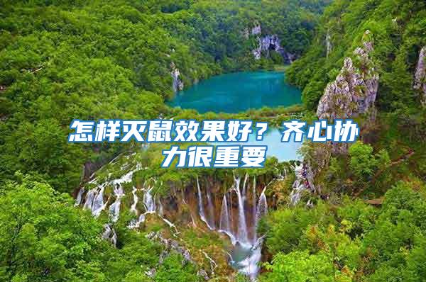 怎樣滅鼠效果好?齊心協(xié)力很重要