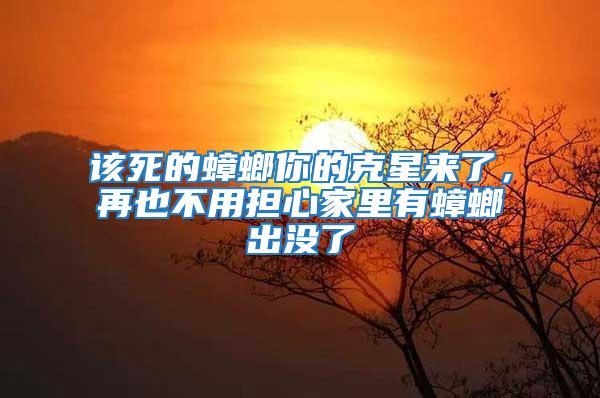 該死的蟑螂你的克星來了,再也不用擔(dān)心家里有蟑螂出沒了