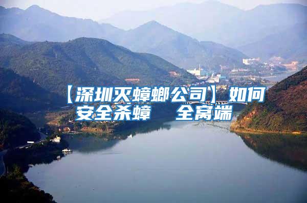 【深圳滅蟑螂公司】如何安全殺蟑 全窩端