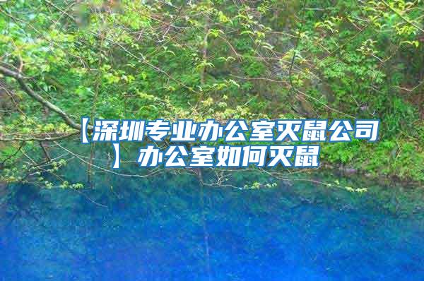 【深圳專業辦公室滅鼠公司】辦公室如何滅鼠
