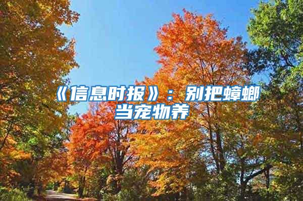 《信息時報》:別把蟑螂當(dāng)寵物養(yǎng)