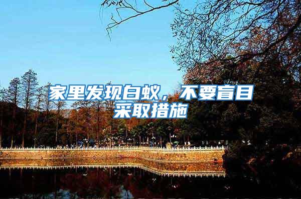 家里發(fā)現白蟻,不要盲目采取措施