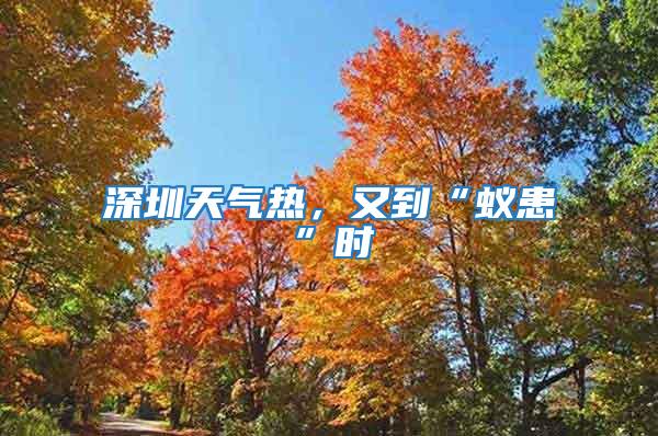 深圳天氣熱,又到“蟻患”時