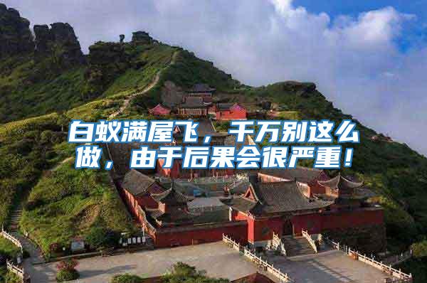 白蟻滿屋飛,千萬別這么做,由于后果會很嚴重!