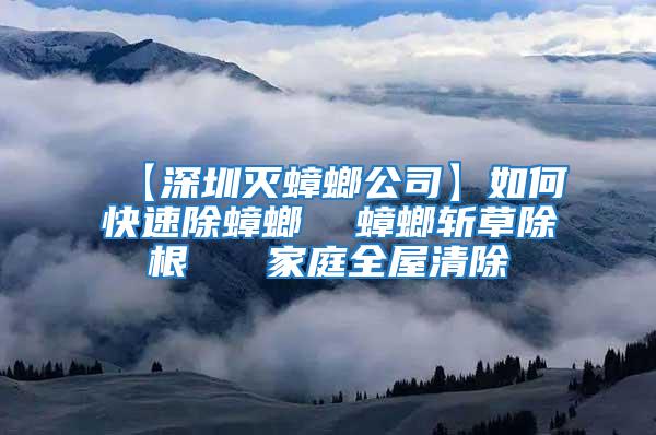 【深圳滅蟑螂公司】如何快速除蟑螂 蟑螂斬草除根 家庭全屋清除