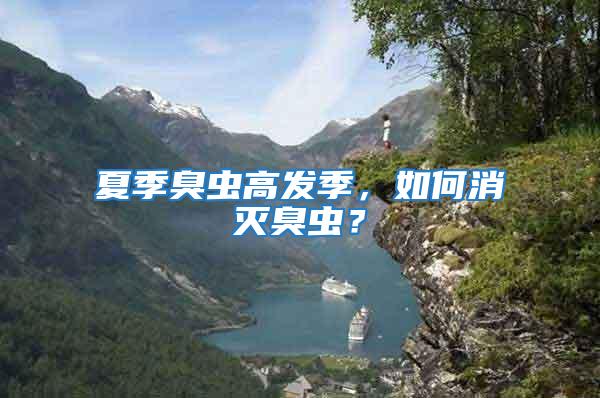 夏季臭蟲高發季，如何消滅臭蟲？