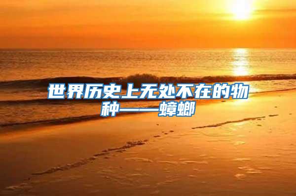 世界歷史上無處不在的物種——蟑螂