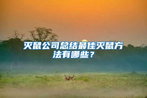 滅鼠公司總結最佳滅鼠方法有哪些？