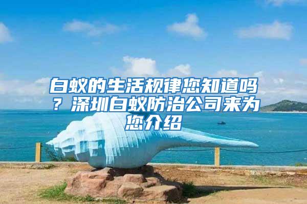 白蟻的生活規律您知道嗎?深圳白蟻防治公司來為您介紹