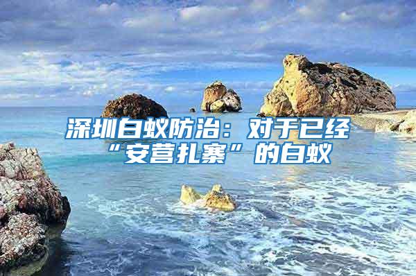 深圳白蟻防治:對于已經“安營扎寨”的白蟻