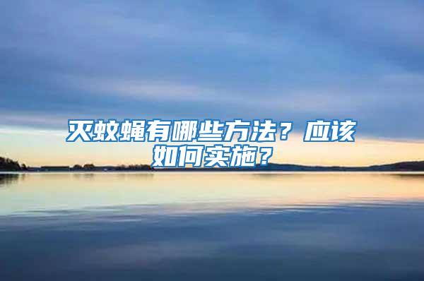 滅蚊蠅有哪些方法?應該如何實施?