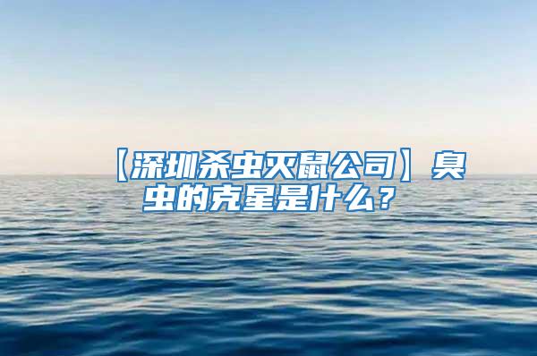 【深圳殺蟲滅鼠公司】臭蟲的克星是什么?