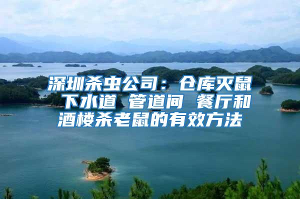 深圳殺蟲公司:倉庫滅鼠 下水道 管道間 餐廳和酒樓殺老鼠的有效方法