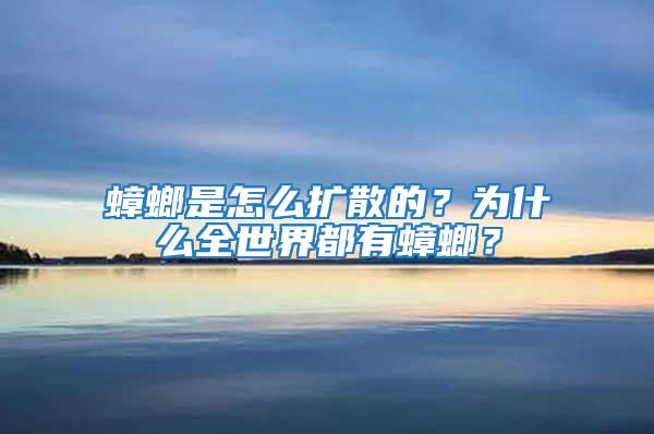 蟑螂是怎么擴(kuò)散的?為什么全世界都有蟑螂?