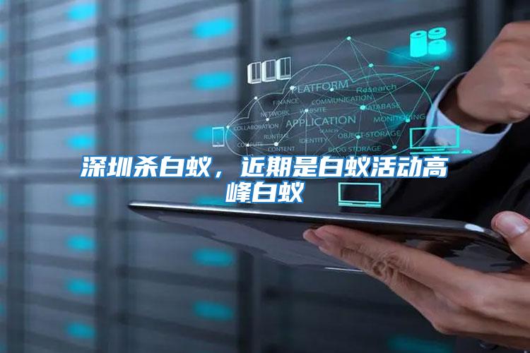 深圳殺白蟻,近期是白蟻活動高峰白蟻