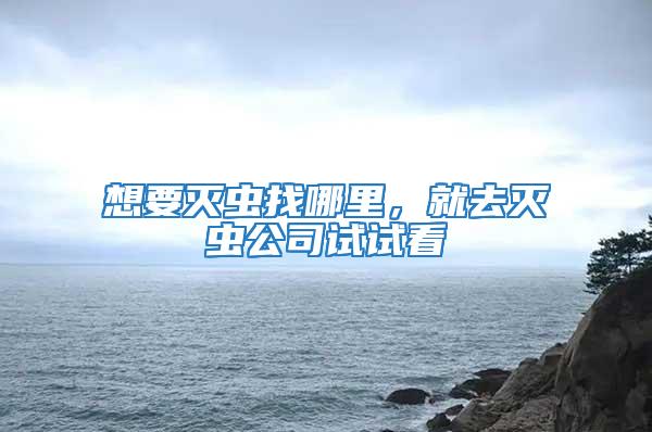 想要滅蟲找哪里,就去滅蟲公司試試看