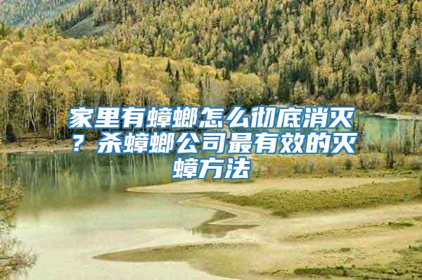 家里有蟑螂怎么徹底消滅?殺蟑螂公司最有效的滅蟑方法