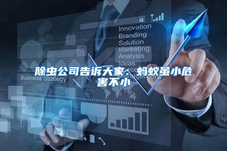 除蟲公司告訴大家:螞蟻雖小危害不小
