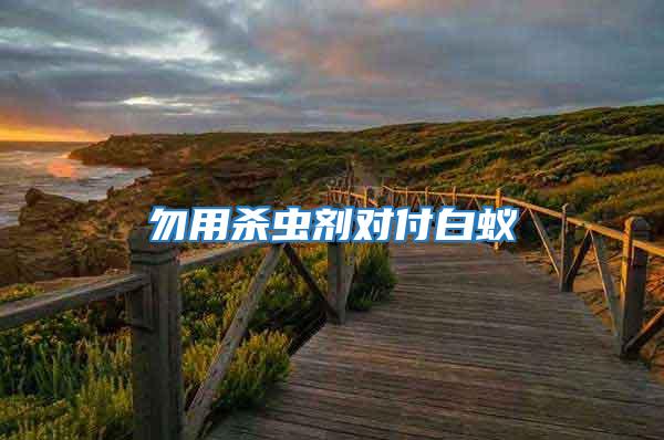 勿用殺蟲劑對付白蟻