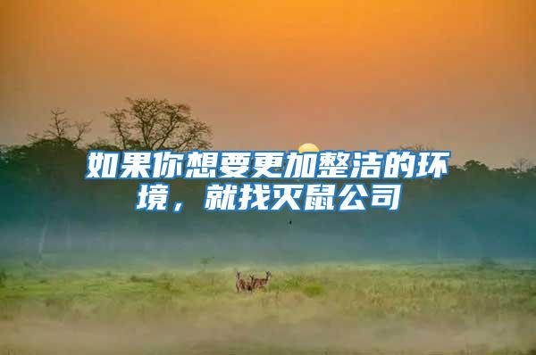 如果你想要更加整潔的環境，就找滅鼠公司