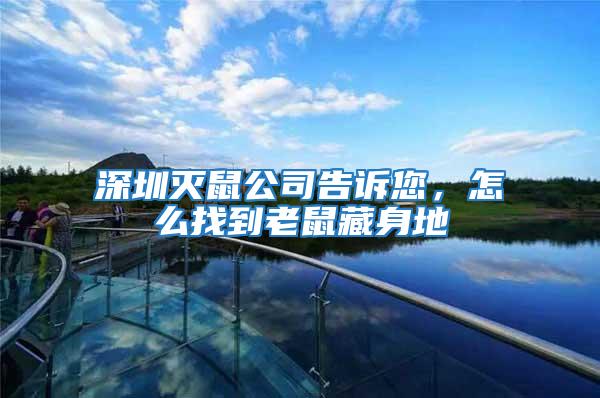 深圳滅鼠公司告訴您，怎么找到老鼠藏身地