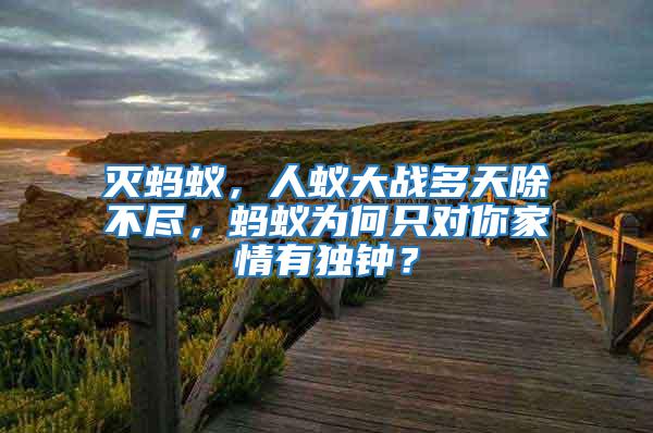 滅螞蟻,人蟻大戰多天除不盡,螞蟻為何只對你家情有獨鐘?