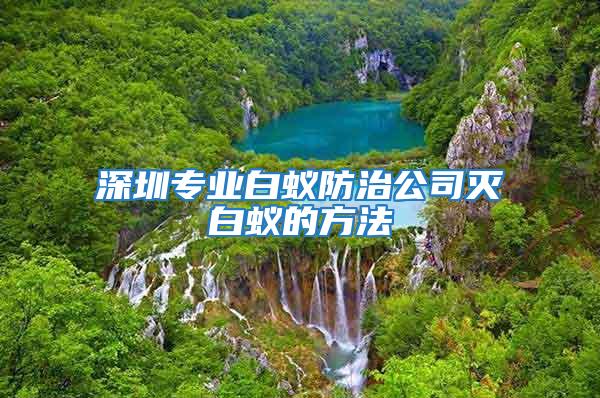 深圳專業白蟻防治公司滅白蟻的方法