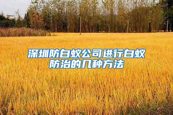 深圳防白蟻公司進行白蟻防治的幾種方法