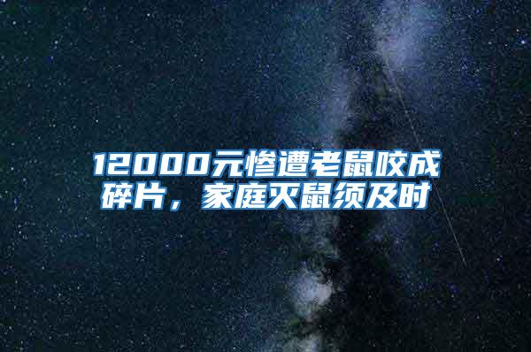 12000元慘遭老鼠咬成碎片，家庭滅鼠須及時