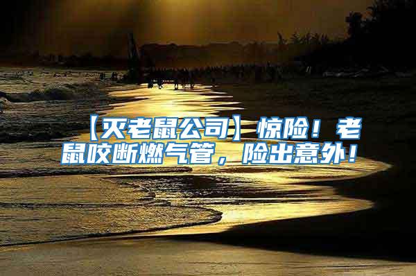 【滅老鼠公司】驚險(xiǎn)！老鼠咬斷燃?xì)夤?，險(xiǎn)出意外！