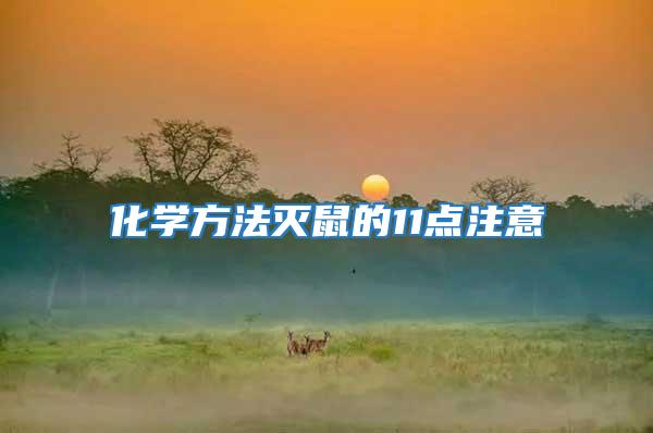 化學方法滅鼠的11點注意