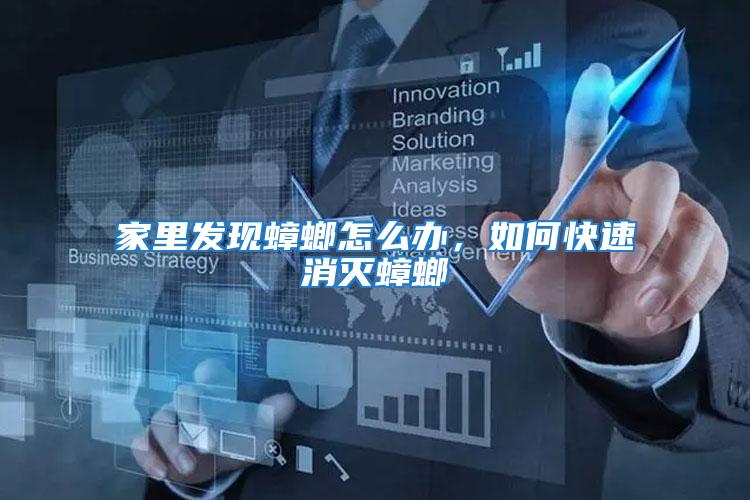 家里發(fā)現(xiàn)蟑螂怎么辦,如何快速消滅蟑螂