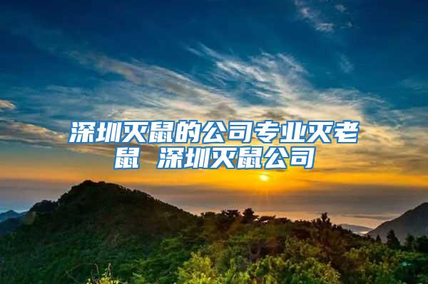 深圳滅鼠的公司專業(yè)滅老鼠 深圳滅鼠公司