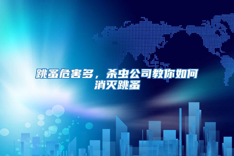 跳蚤危害多，殺蟲公司教你如何消滅跳蚤