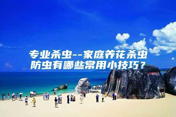 專業殺蟲--家庭養花殺蟲防蟲有哪些常用小技巧？