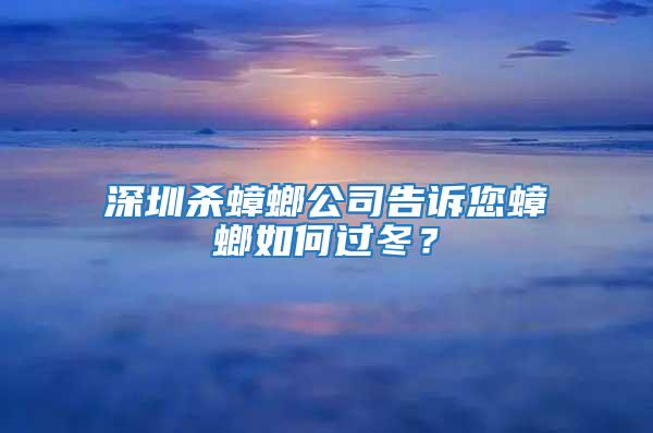 深圳殺蟑螂公司告訴您蟑螂如何過冬？