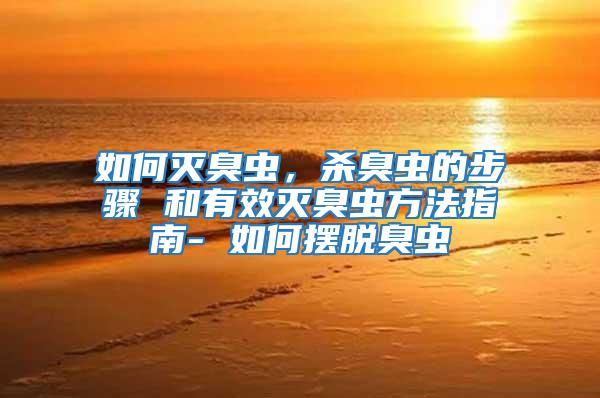 如何滅臭蟲，殺臭蟲的步驟 和有效滅臭蟲方法指南- 如何擺脫臭蟲