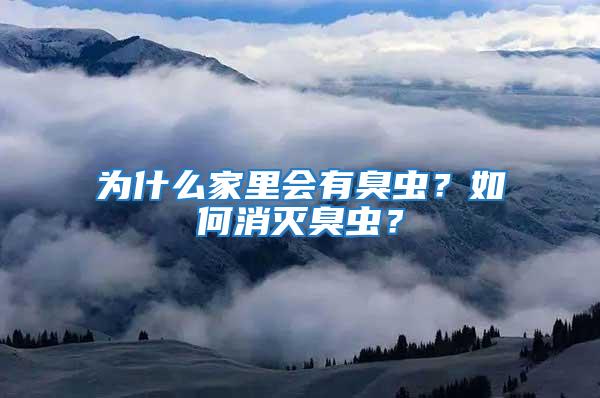 為什么家里會(huì)有臭蟲?如何消滅臭蟲?