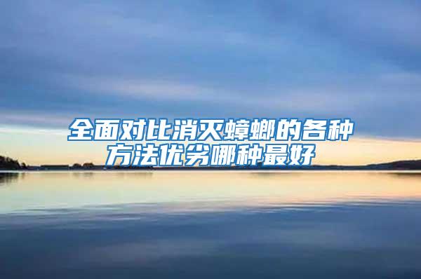 全面對比消滅蟑螂的各種方法優(yōu)劣哪種最好