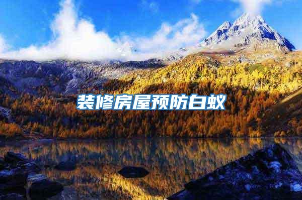 裝修房屋預防白蟻