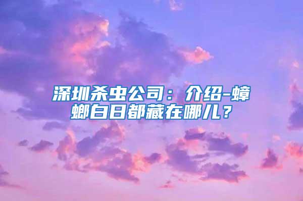 深圳殺蟲公司:介紹-蟑螂白日都藏在哪兒?