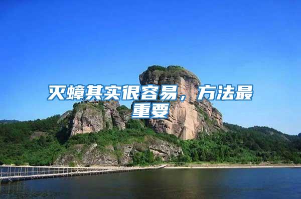 滅蟑其實很容易,方法最重要